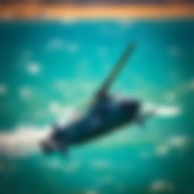 Magnificent Exploring Ocean Rodeo Kites: An In-Depth Look Magnificent Exploring Ocean Rodeo Kites: An In-Depth Look
