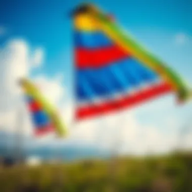 Magnificent The Dynamics of 4 Line Trainer Kites Magnificent The Dynamics of 4 Line Trainer Kites