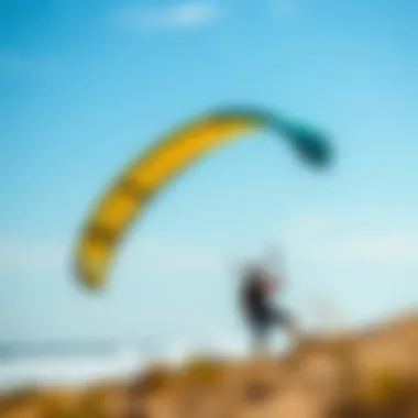 Magnificent The Optimal Choices for Low Wind Kites Magnificent The Optimal Choices for Low Wind Kites