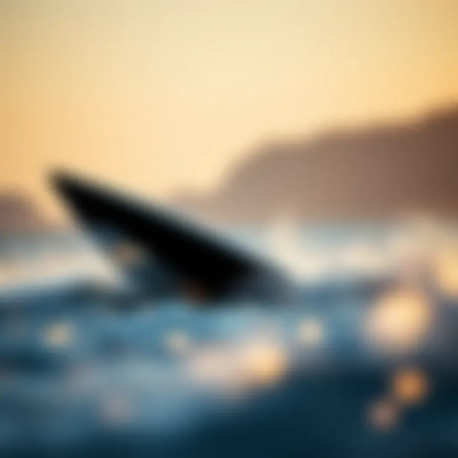 A sleek hydrofoil cutting through the water, showcasing its design and innovation