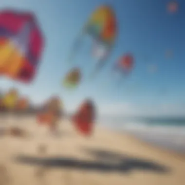 A variety of kites displayed on a sunny beach