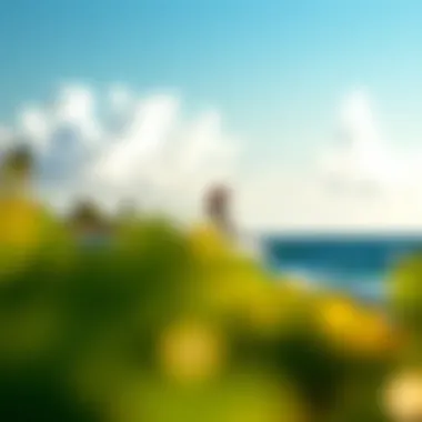 Notable Exploring Cabarete, Dominican Republic: A Kiteboarding Paradise Notable Exploring Cabarete, Dominican Republic: A Kiteboarding Paradise