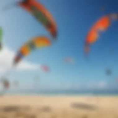 Comparison of various kite canopy types set against different weather conditions