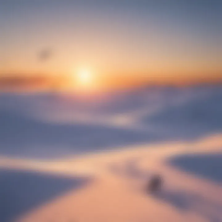 A breathtaking view of a snow kiting location at sunset