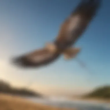 A close-up view of a pigtail kite showcasing its unique design and construction materials.