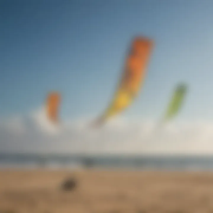 A collection of various kite clips demonstrating different designs and functionalities