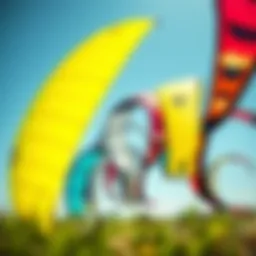 Different types of kitesurfing kites in a vibrant display
