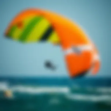 Notable Large Kites for Adults: Understanding the Dynamics of Performance and Enjoyment Notable Large Kites for Adults: Understanding the Dynamics of Performance and Enjoyment