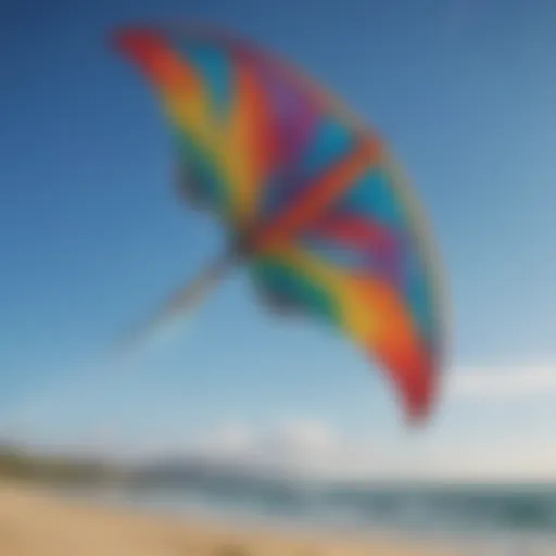 Detailed view of North Kiteboarding kite design