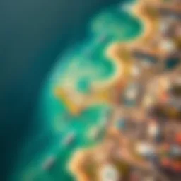 Satellite view of Tampa's coastline highlighting wind patterns