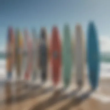 Different styles of wing surf boards displayed