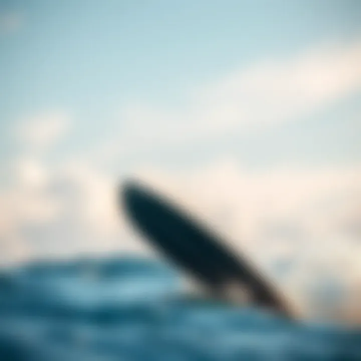 Notable Understanding eFoil Surfboard Pricing: An In-Depth Analysis
