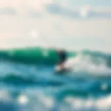 Understanding Marine Forecasts: Focusing on Wave Height Introduction