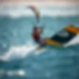 Understanding the Mechanics of Efoils Introduction